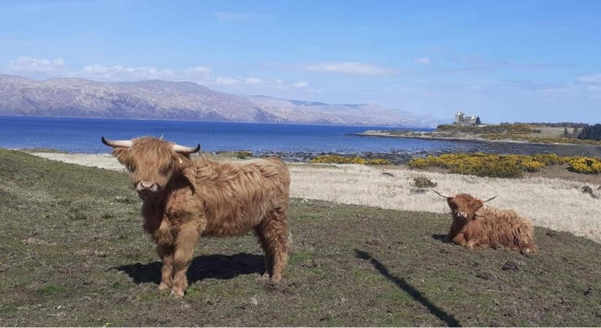 Villa Ard Na Mara Self Catering Isle Of Mull Dervaig Esterno foto